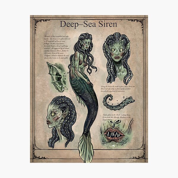 Sea Siren Mermaid