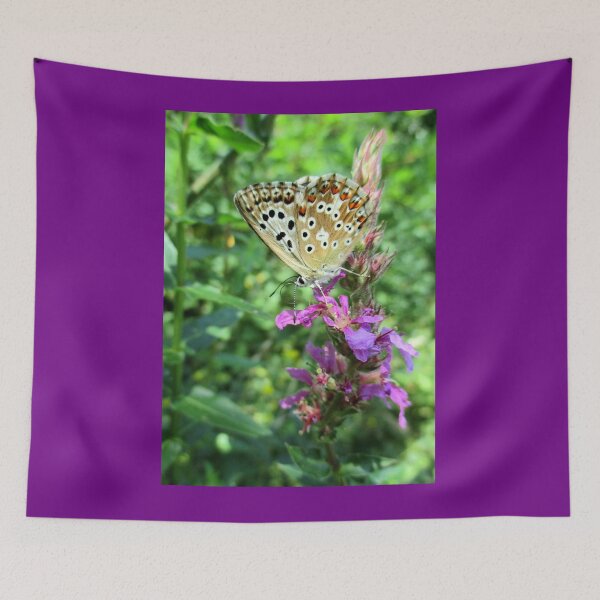 Item preview, Seize the moment designed and sold by crystalline.