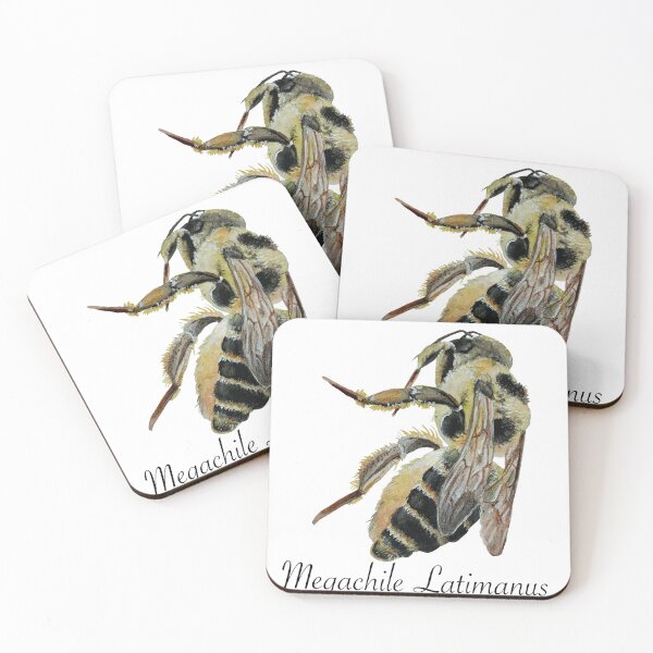 Item preview, Leafcutter Bee With Scientific Name designed and sold by ShellLegAndWing.