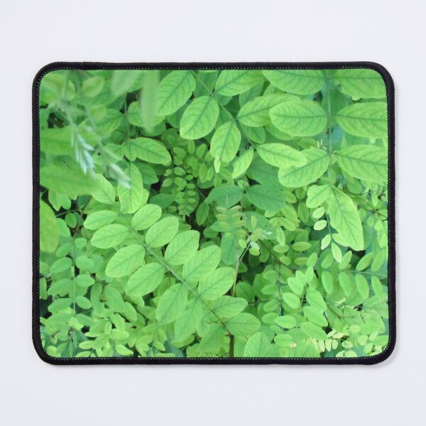 Item preview, Lush acacia therapy designed and sold by crystalline.