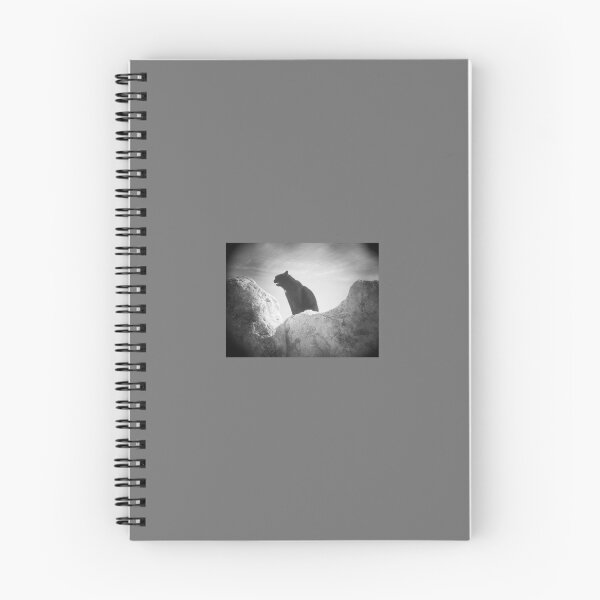 Item preview, 2015 Il gatto nero con la macchia della Madonna. designed and sold by robertoferrero.