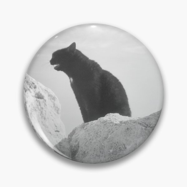 Item preview, 2015 Il gatto nero con la macchia della Madonna. designed and sold by robertoferrero.