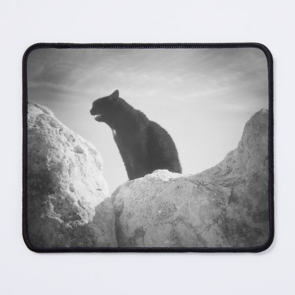 Item preview, 2015 Il gatto nero con la macchia della Madonna. designed and sold by robertoferrero.