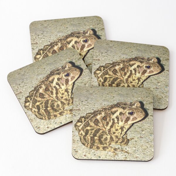 Item preview, Perfect Toad designed and sold by turddemon.