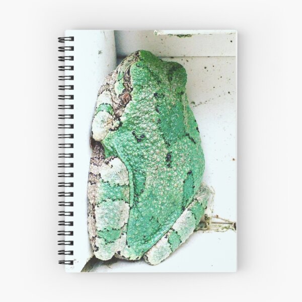 Item preview, Sleeping Tree Frog designed and sold by turddemon.