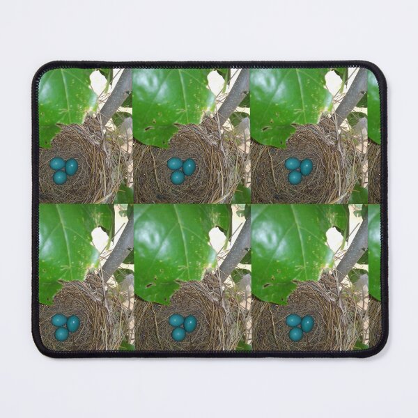 Item preview, birds nest with blue eggs designed and sold by anil77kiran84.