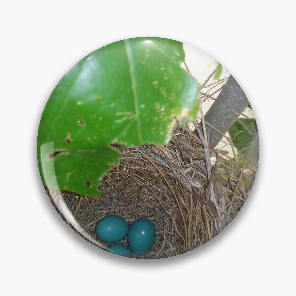 Item preview, birds nest with blue eggs designed and sold by anil77kiran84.