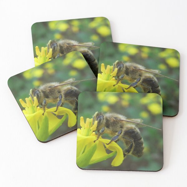 Item preview, Bee-autiful North Downs: A Print of a Busy Bee on Rapeseed North Downs,UK, British Wildlife designed and sold by leyfinder.