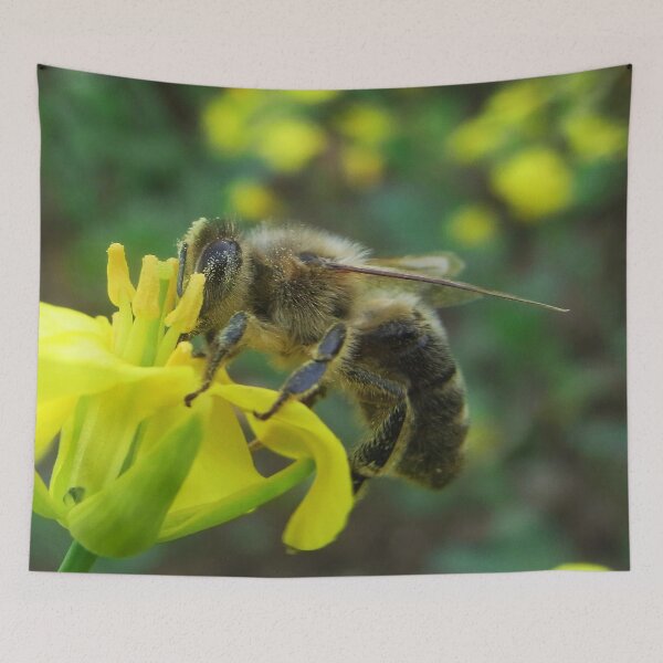 Item preview, Bee-autiful North Downs: A Print of a Busy Bee on Rapeseed North Downs,UK, British Wildlife designed and sold by leyfinder.