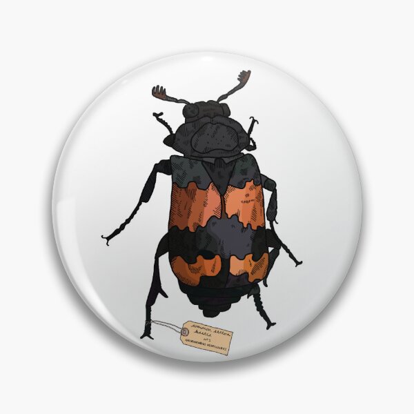 Item preview, common sexton beetle id  designed and sold by nevephil.