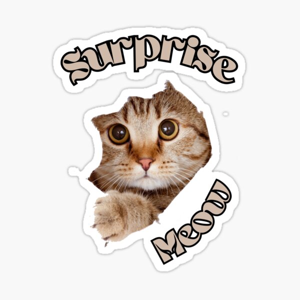 Surprised Cat Sticker Vinyl Meow