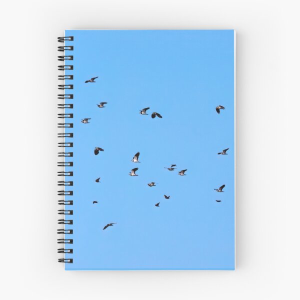 Item preview, Northern lapwings and European starlings designed and sold by Jouko Lehto Photography.