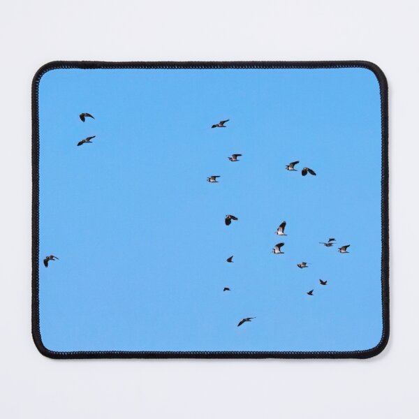Item preview, Northern lapwings and European starlings designed and sold by Jouko Lehto Photography.