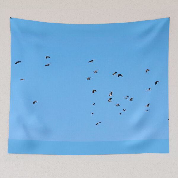 Item preview, Northern lapwings and European starlings designed and sold by Jouko Lehto Photography.