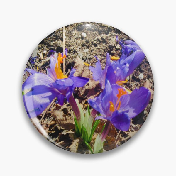 Item preview, First crocus designed and sold by Shulie1.