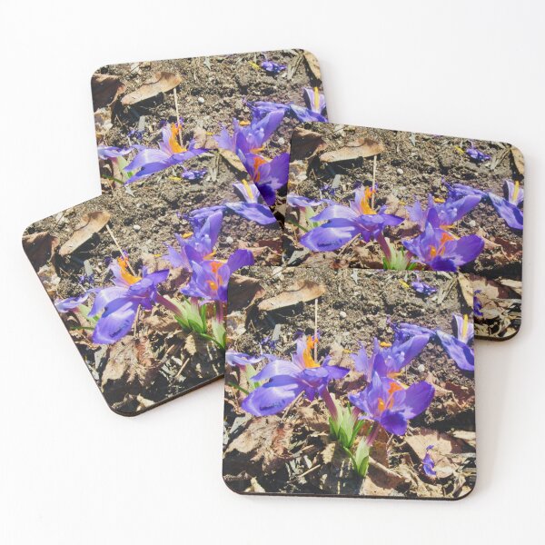 Item preview, First crocus designed and sold by Shulie1.