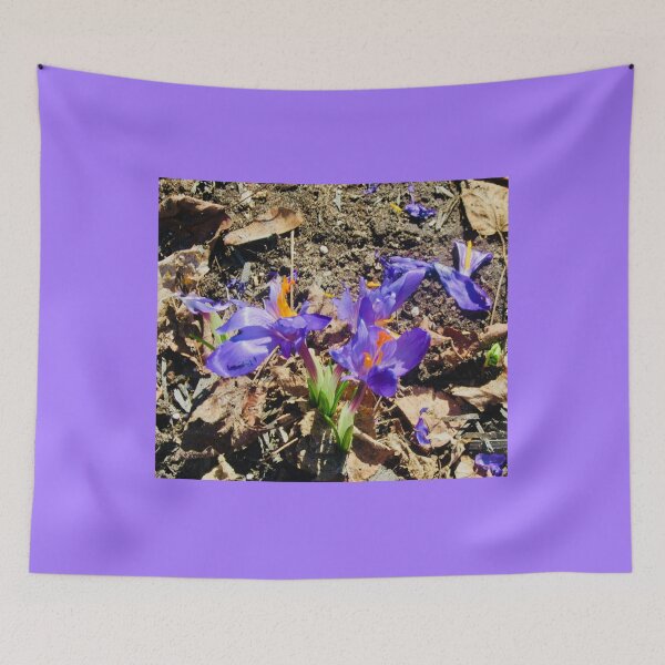 Item preview, First crocus designed and sold by Shulie1.
