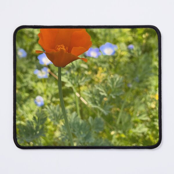 Item preview, California Poppy designed and sold by PinesandPalms.