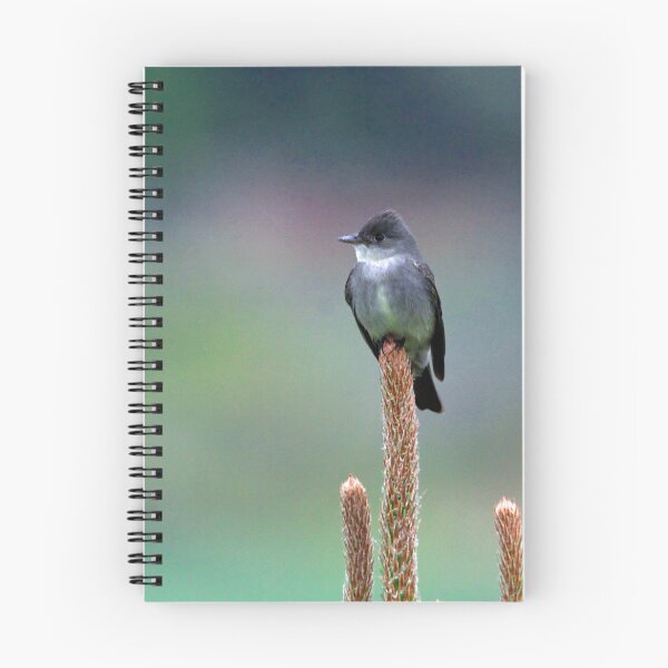 Item preview, Western Wood PeeWee bird designed and sold by CommandoCrane.