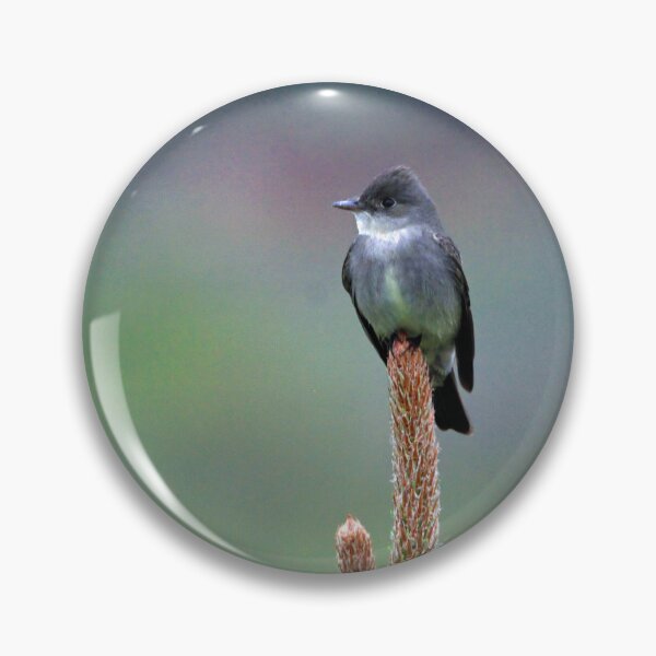 Item preview, Western Wood PeeWee bird designed and sold by CommandoCrane.