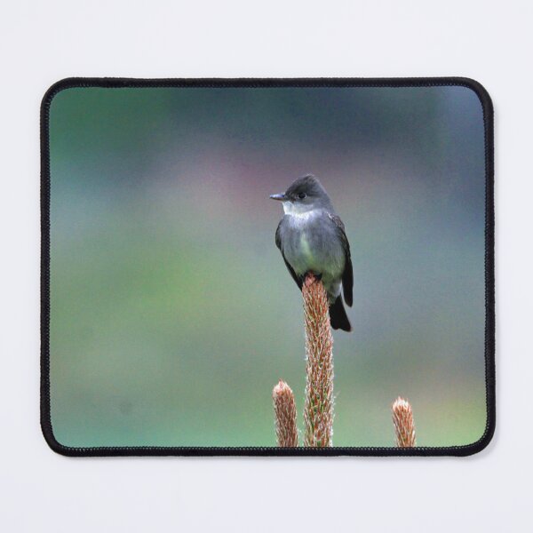Item preview, Western Wood PeeWee bird designed and sold by CommandoCrane.
