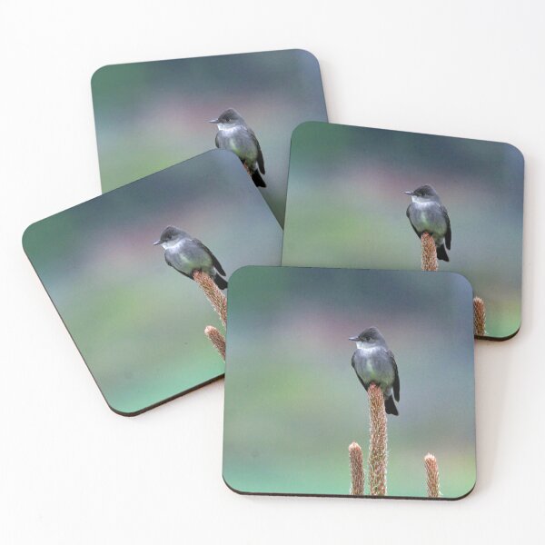 Item preview, Western Wood PeeWee bird designed and sold by CommandoCrane.