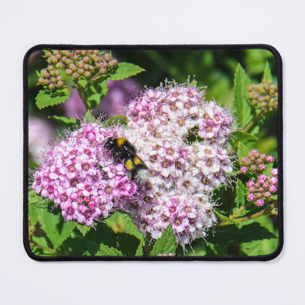 Item preview, Beezzzz designed and sold by Sotiris Filippou.