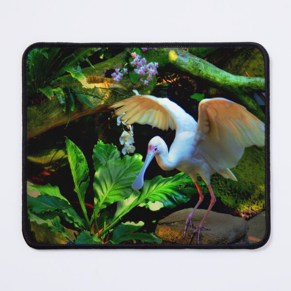 Item preview, Spoonbill  designed and sold by Savannah Gibbs.