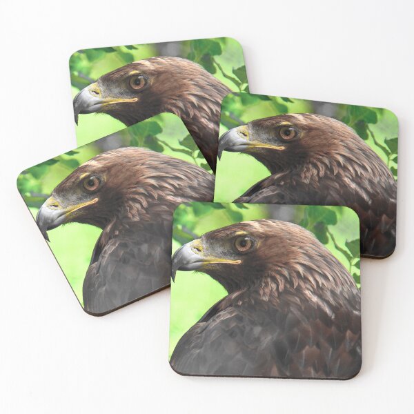 Item preview, Hawk Scouting designed and sold by Sotiris Filippou.