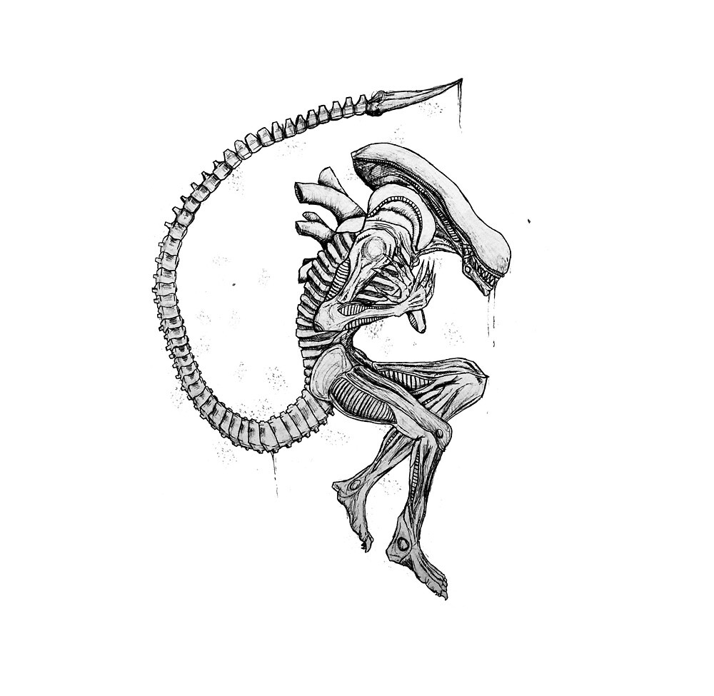 Alien Xenomorph Boy By Maxziee Redbubble - alien xenomorph drawing