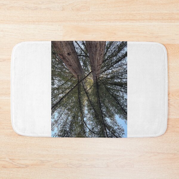 Item preview, Redwoods at UC Santa Cruz designed and sold by PinesandPalms.