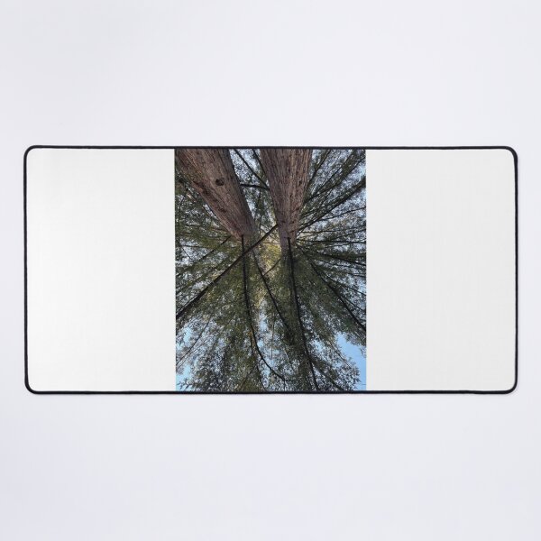 Item preview, Redwoods at UC Santa Cruz designed and sold by PinesandPalms.