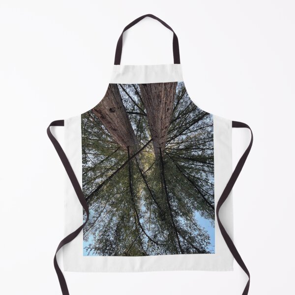 Item preview, Redwoods at UC Santa Cruz designed and sold by PinesandPalms.