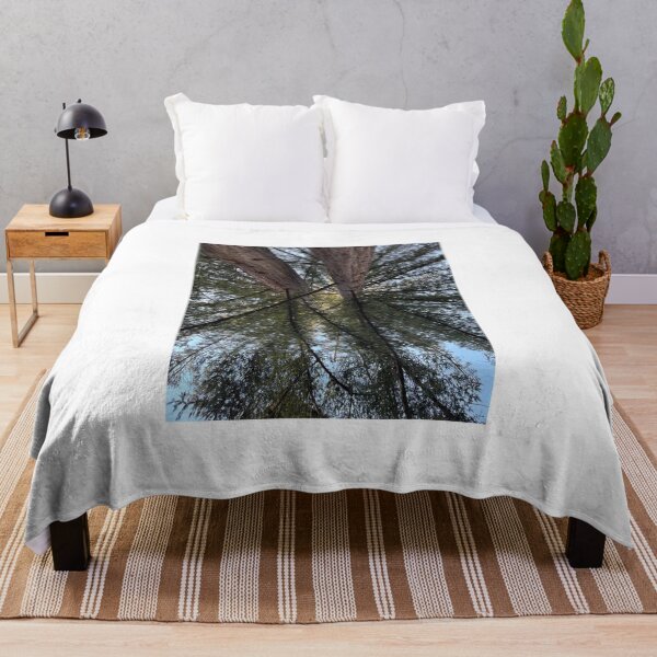 Item preview, Redwoods at UC Santa Cruz designed and sold by PinesandPalms.