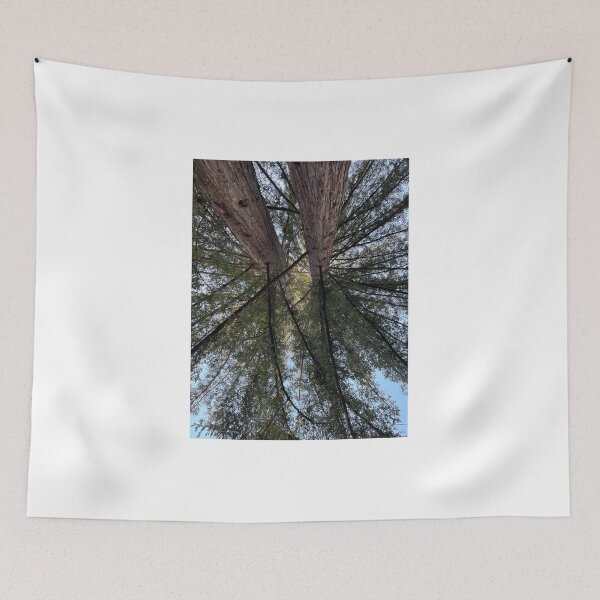 Item preview, Redwoods at UC Santa Cruz designed and sold by PinesandPalms.