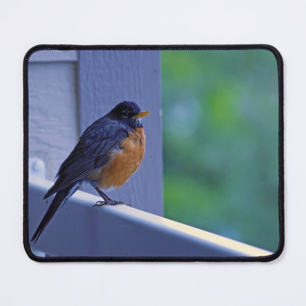 Item preview, First Sign of Spring: American Robin Bird designed and sold by CommandoCrane.