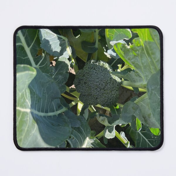 Item preview, Broccoli in the Field designed and sold by PinesandPalms.