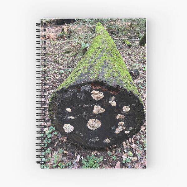 Item preview, Life After Death designed and sold by PinesandPalms.