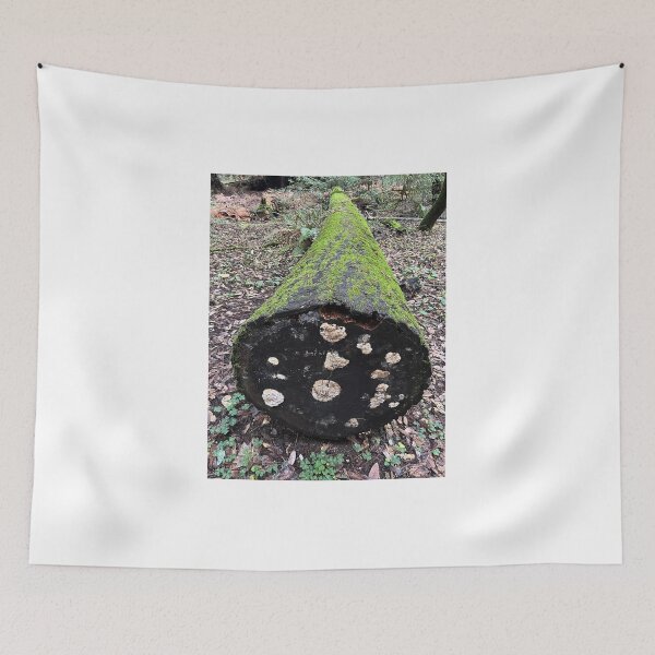Item preview, Life After Death designed and sold by PinesandPalms.