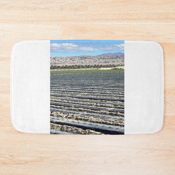 Item preview, Desert Farming designed and sold by PinesandPalms.