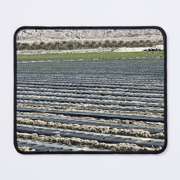 Item preview, Desert Farming designed and sold by PinesandPalms.