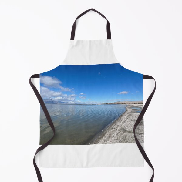 Item preview, Salton Sea designed and sold by PinesandPalms.
