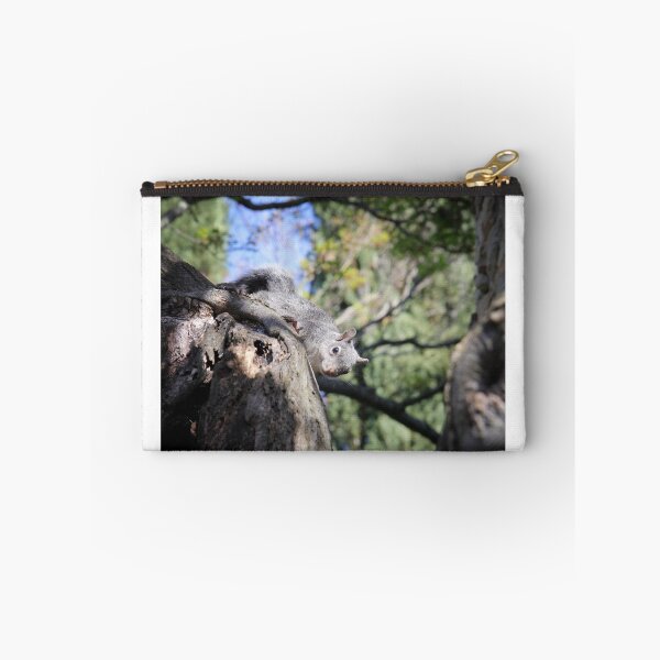 Item preview, Squirrel! designed and sold by Lynn Starner.