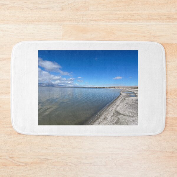 Item preview, Salton Sea designed and sold by PinesandPalms.