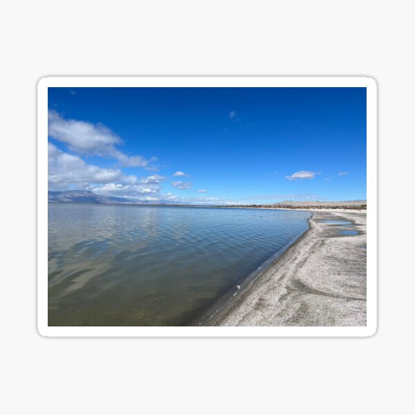 Salton Sea Sticker