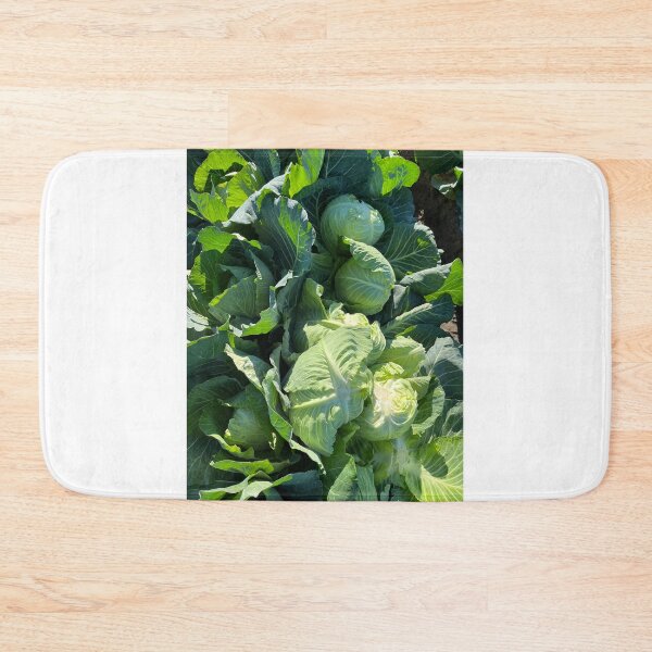 Item preview, Fresh Harvest Cabbages designed and sold by PinesandPalms.