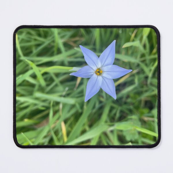 Item preview, Spring Starflower designed and sold by PinesandPalms.