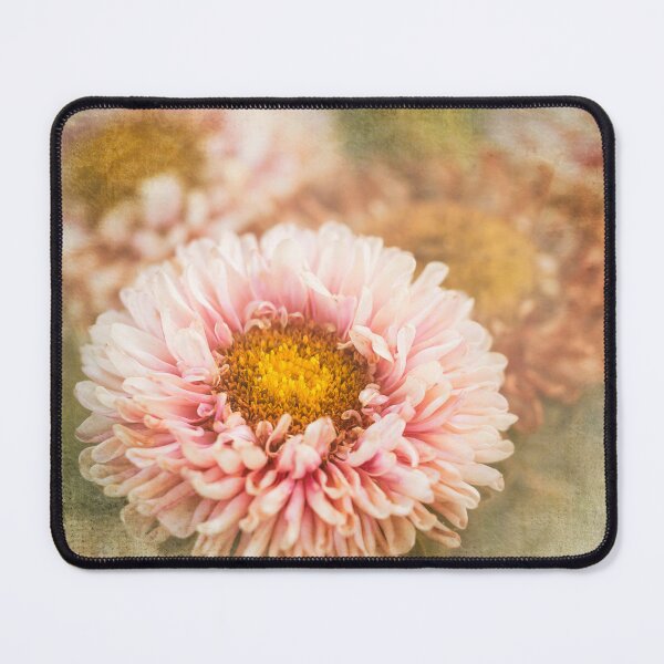Item preview, China Aster designed and sold by Amalus-files.