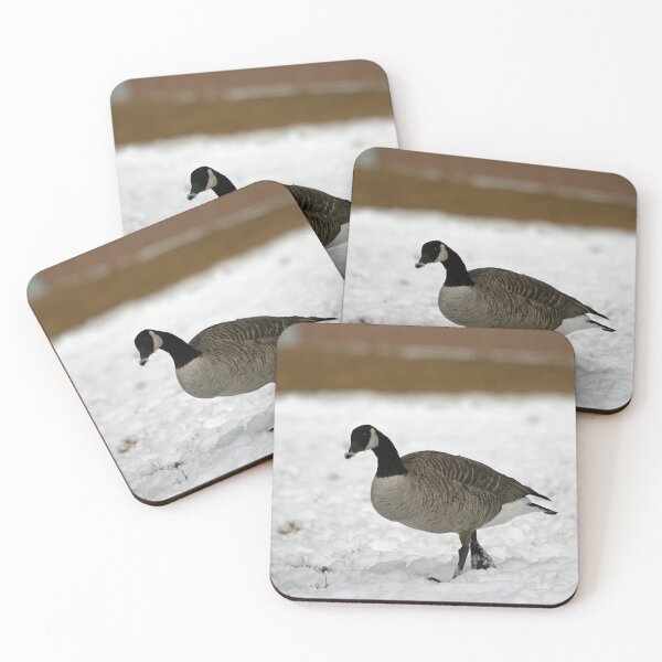Item preview, Canadian Goose Walking in Snow designed and sold by CommandoCrane.