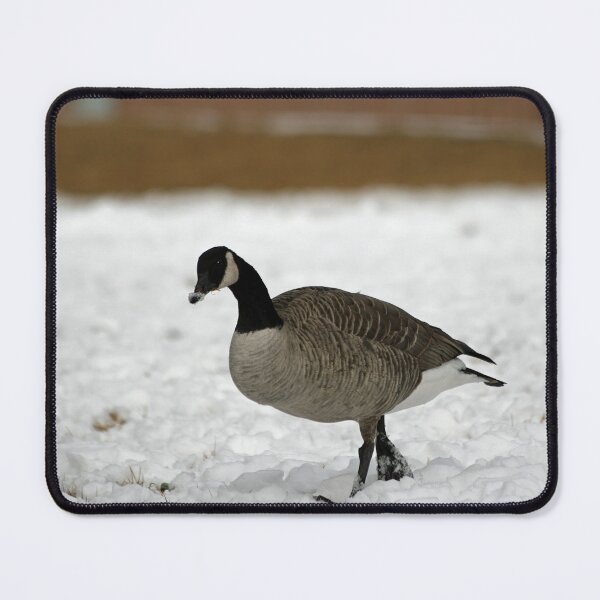 Item preview, Canadian Goose Walking in Snow designed and sold by CommandoCrane.